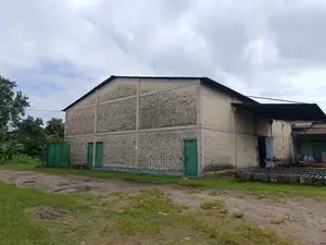 Land, Factory and Machinery of Flower Mill for Sale!
