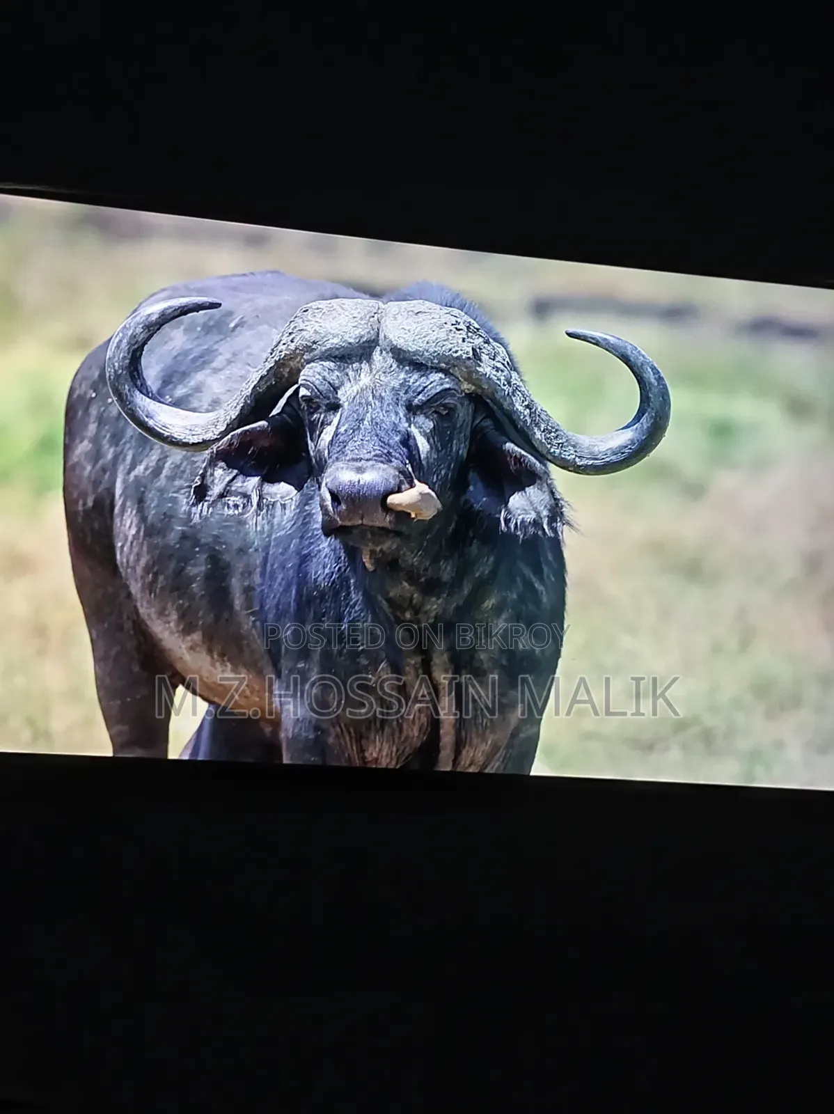 TCL 55c6ks TV