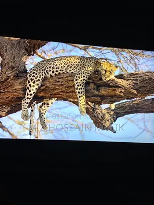 TCL 55c6ks TV