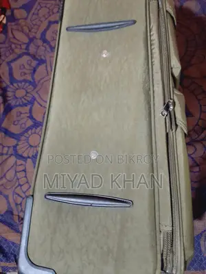 Fancy Trolley Luggage Bag