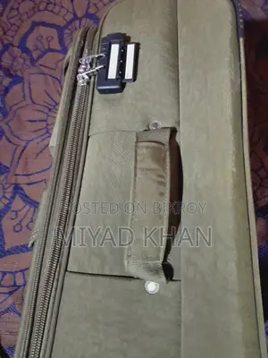 Fancy Trolley Luggage Bag