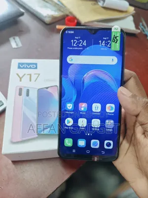 ভিভো ওয়াই ১৭ ২৫৬ জিবি