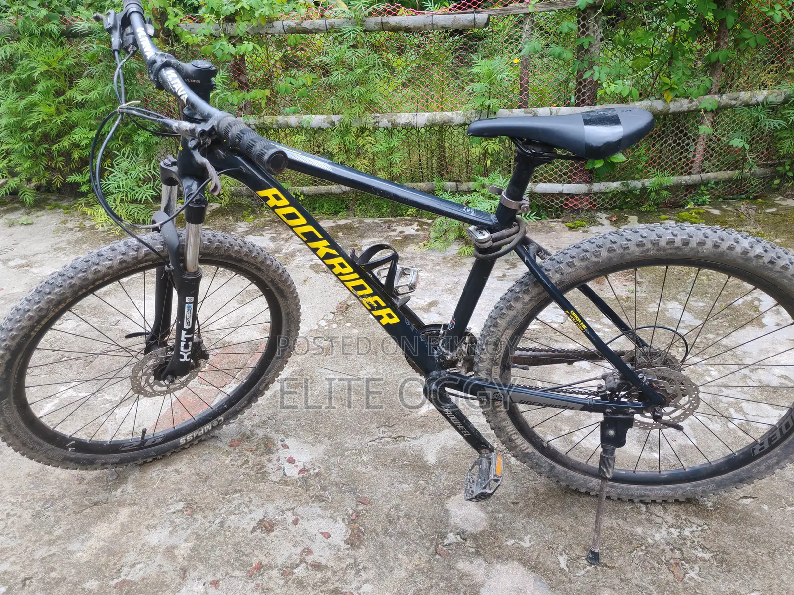 Rock Rider Pro