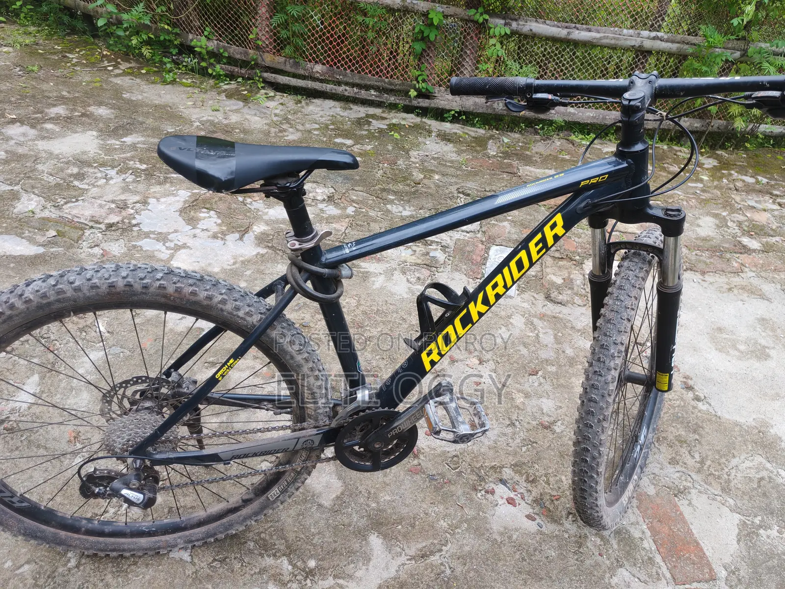 Rock Rider Pro