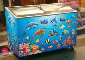 Ice Cream Refrigerator Sale