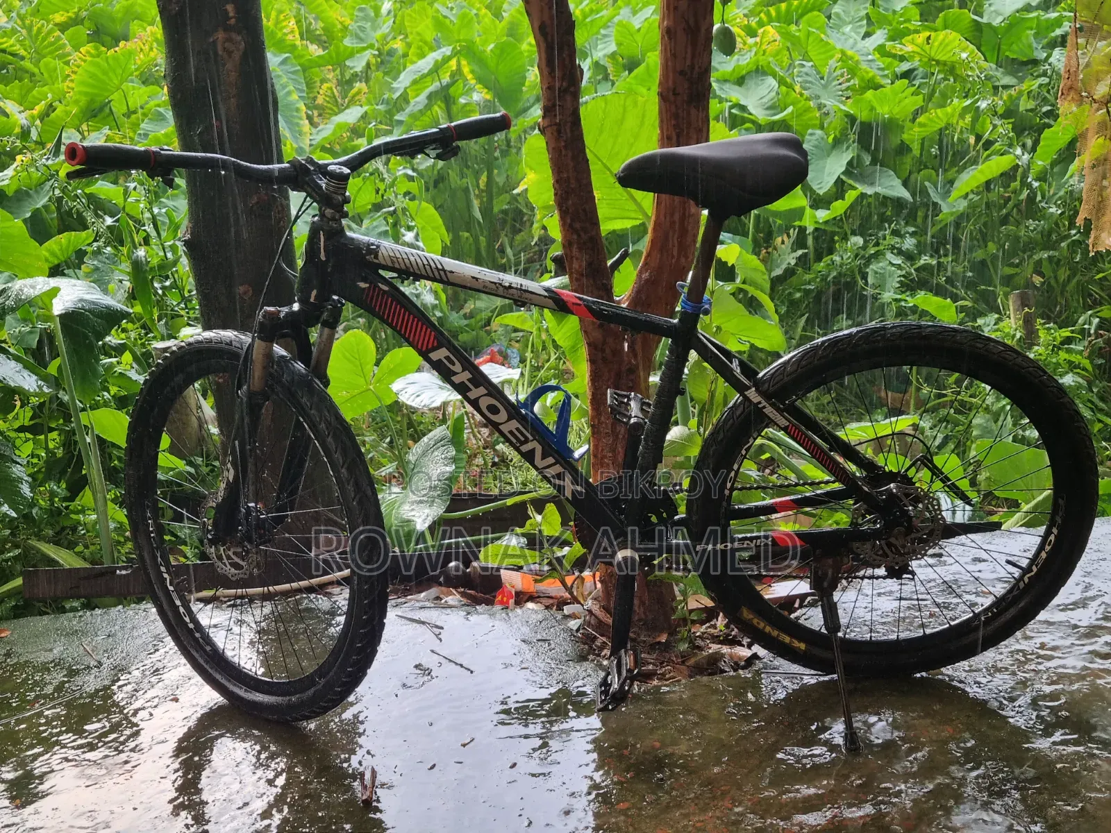 Phoenix Cycle