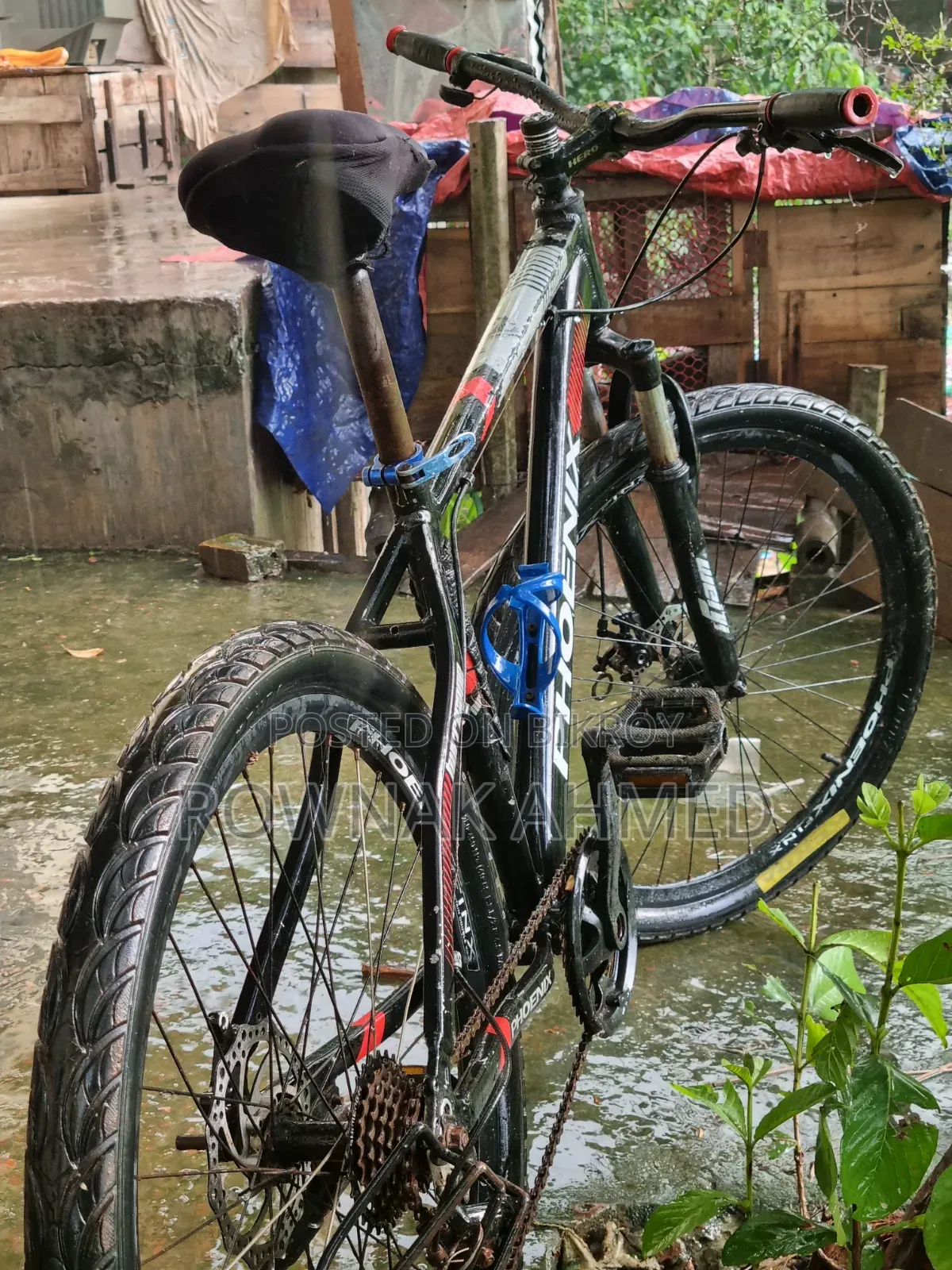 Phoenix Cycle