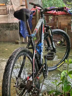 Phoenix Cycle