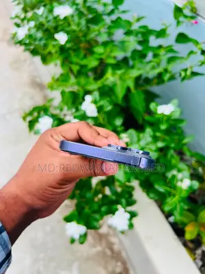 অ্যাপল আইফোন ১৪ প্রো ম্যাক্স ১২৮ জিবি পার্পল