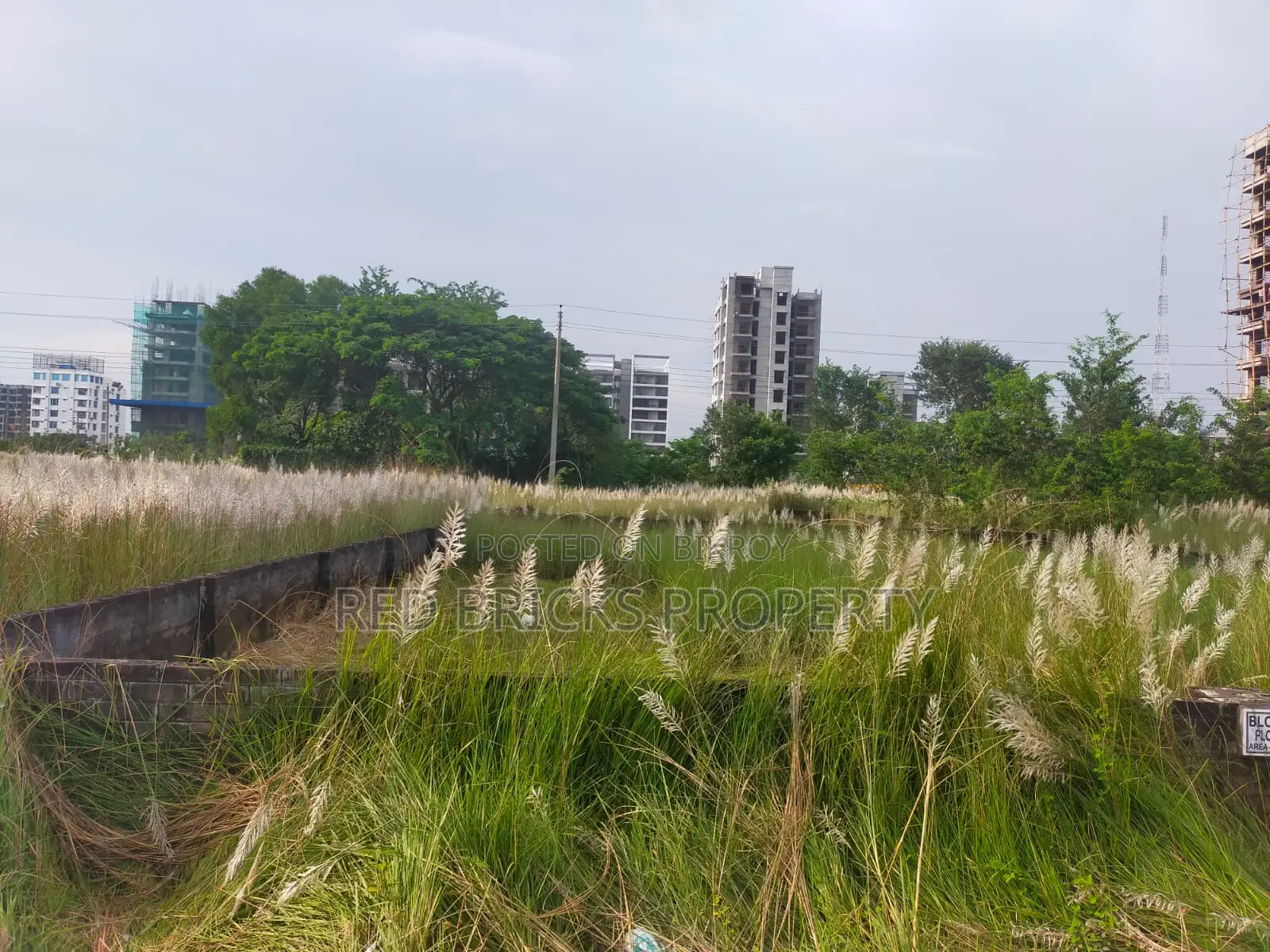 এম-ব্লক ৩ কাঠা প্রাইম লোকেশন ৩০০ ফিট রাস্তার কাছে