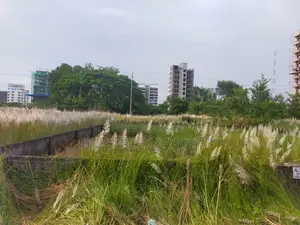 এম-ব্লক ৩ কাঠা প্রাইম লোকেশন ৩০০ ফিট রাস্তার কাছে
