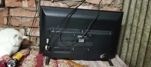 Walton TV 24"