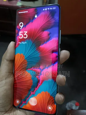 Oppo Reno10 Pro (China) 256 GB Silver