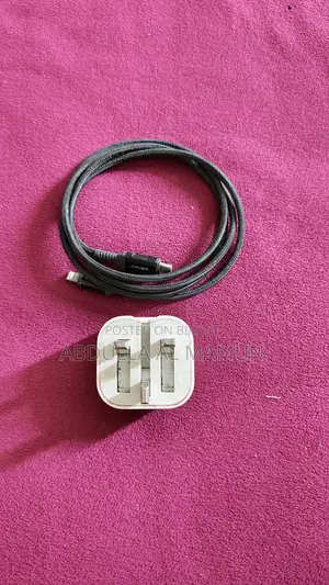 iPhone Original Charger Canadian C to Lightning Type