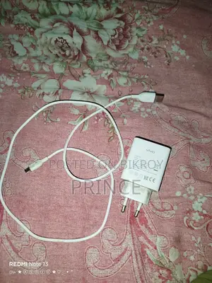 Vivo Original Charger
