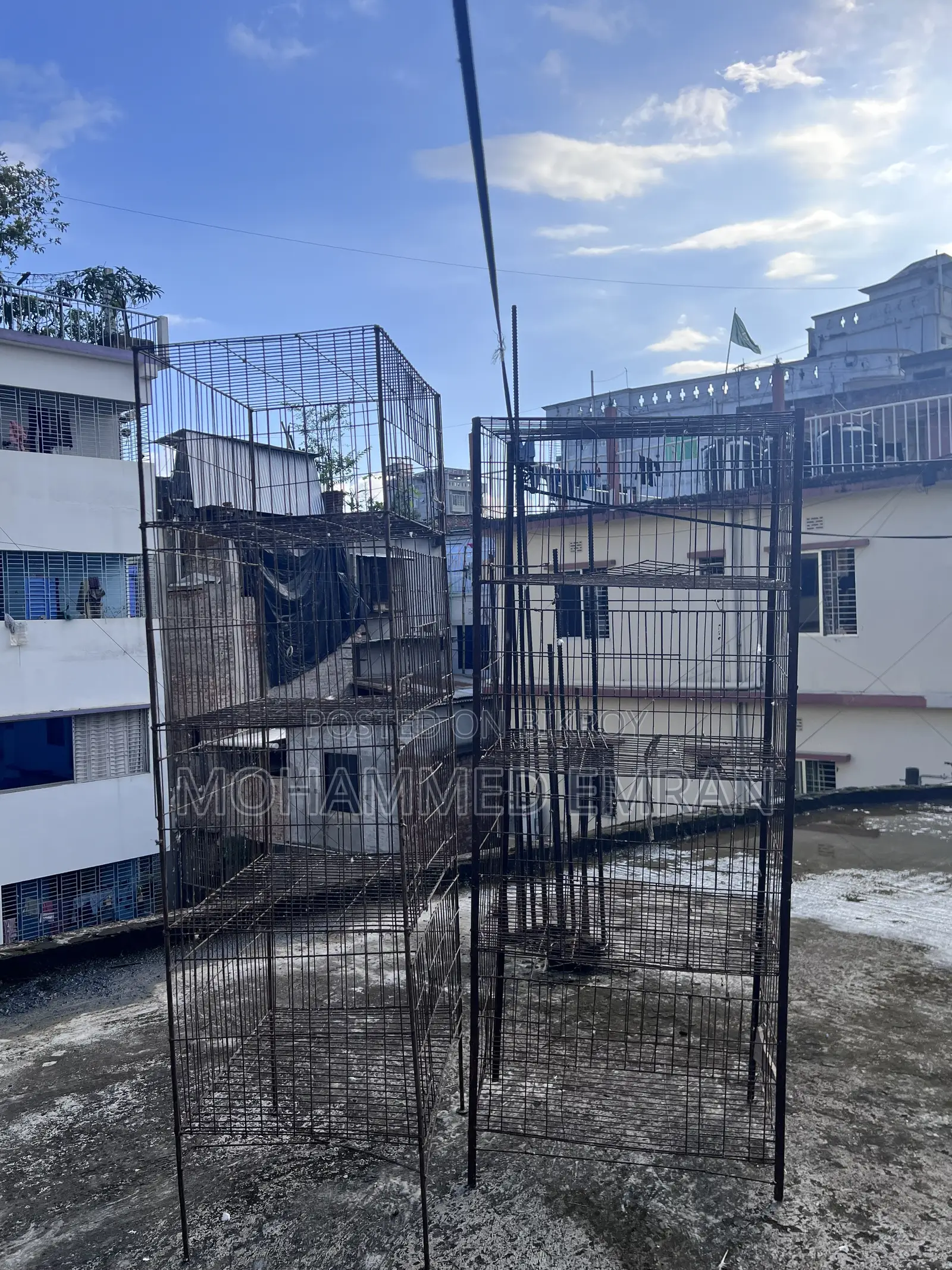 Pigeon Cage