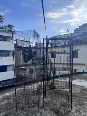 Pigeon Cage
