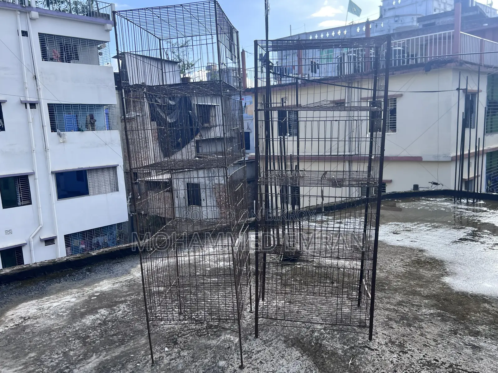 Pigeon Cage
