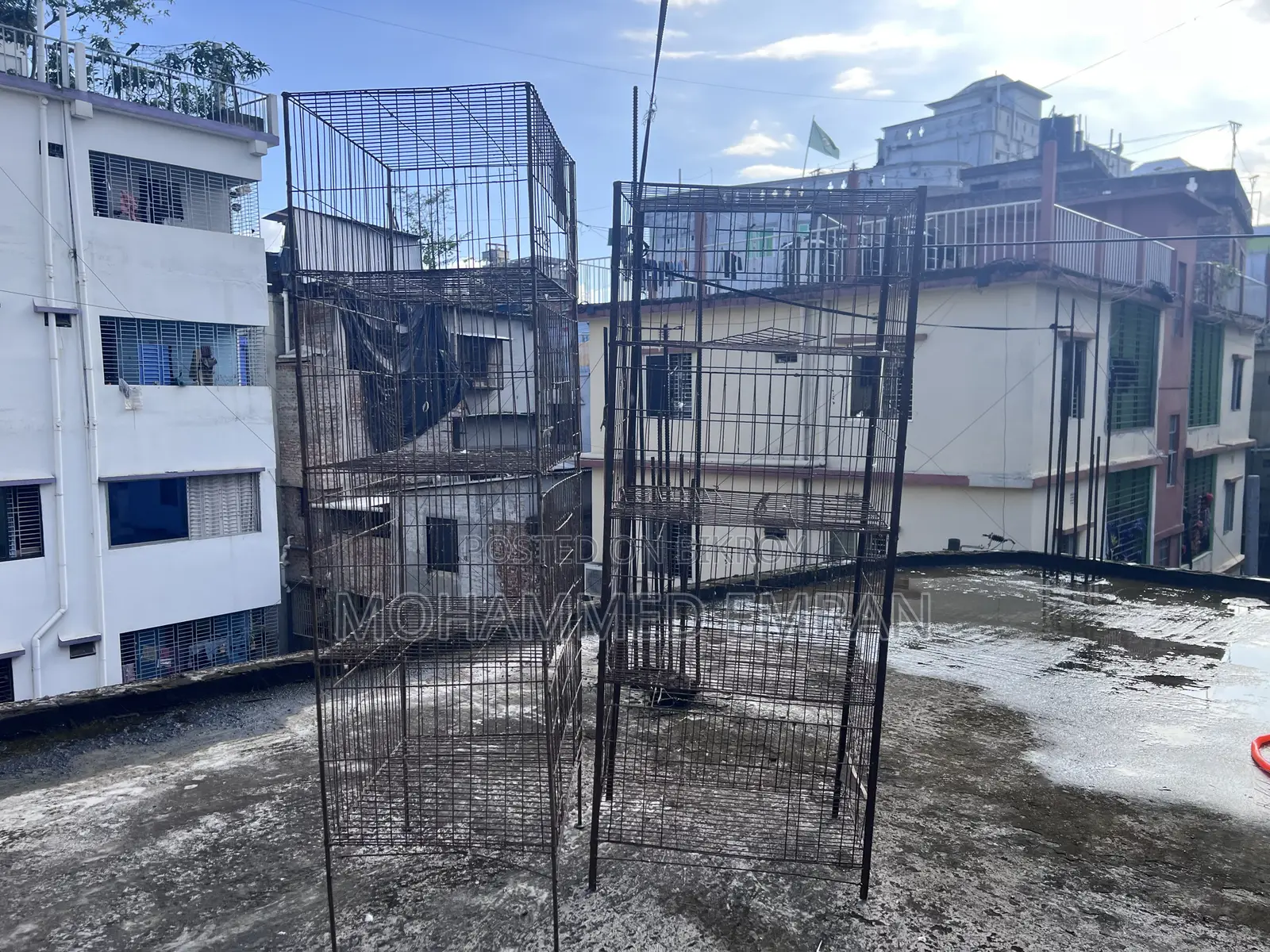 Pigeon Cage