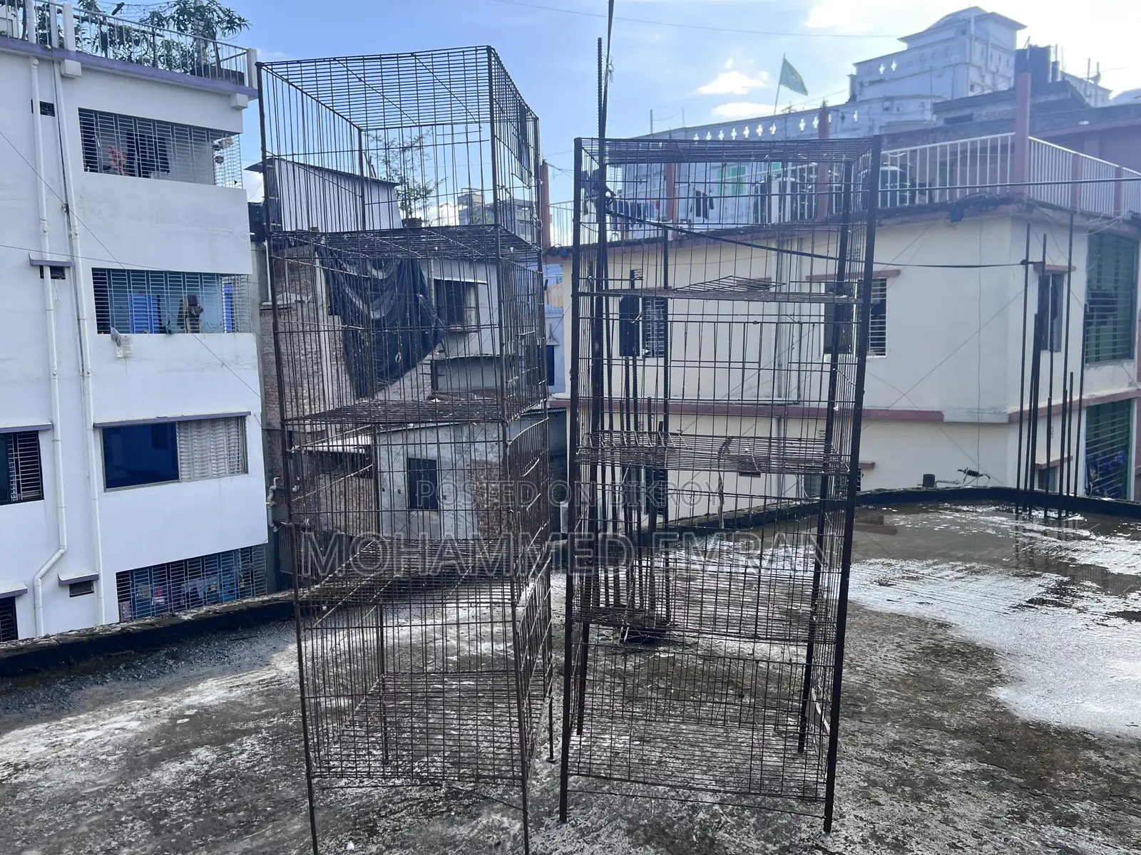 Pigeon Cage