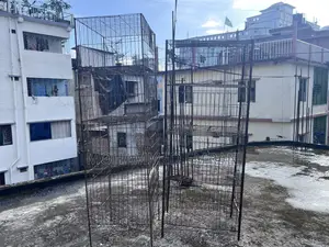 Pigeon Cage