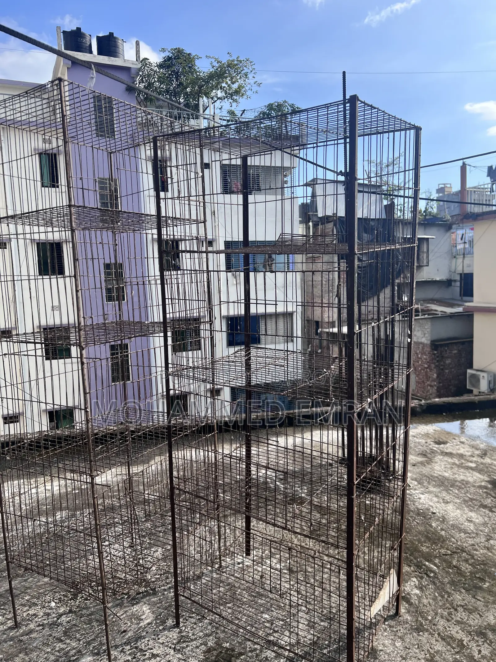 Pigeon Cage