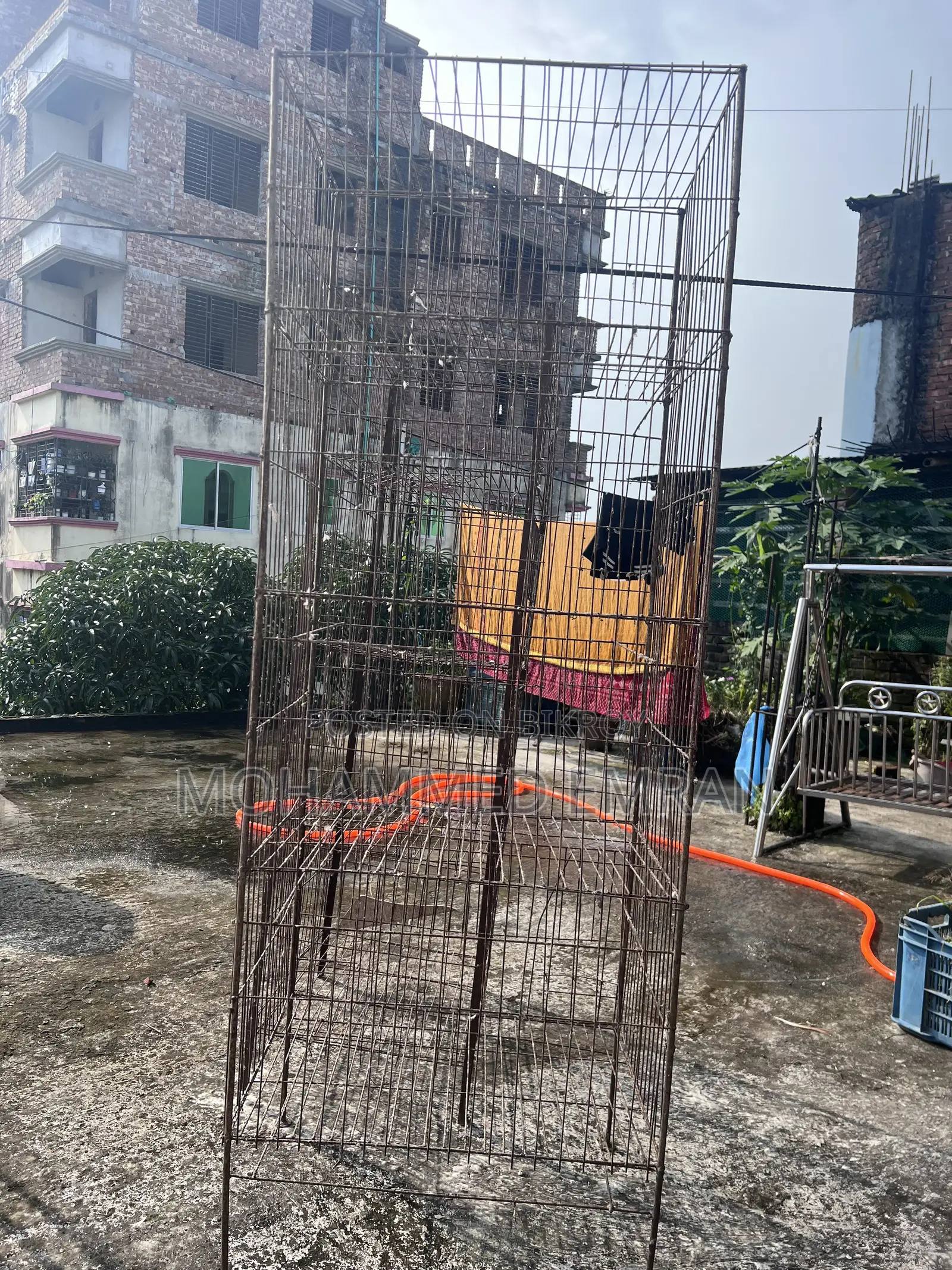 Pigeon Cage