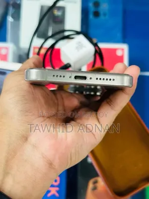Apple iPhone 15 Pro Max 256 GB Silver
