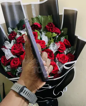 অ্যাপল আইফোন ১৪ প্রো ম্যাক্স ২৫৬ জিবি পার্পল
