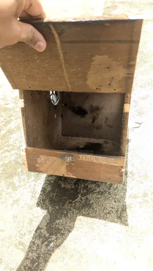 Cockatiel Breeding Box
