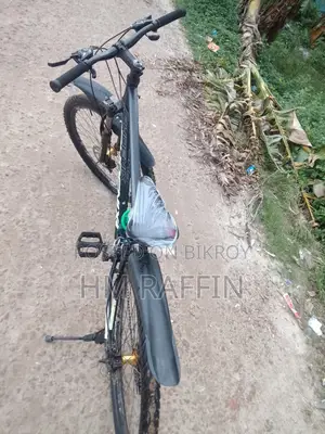 Gear Phoenix Cycle