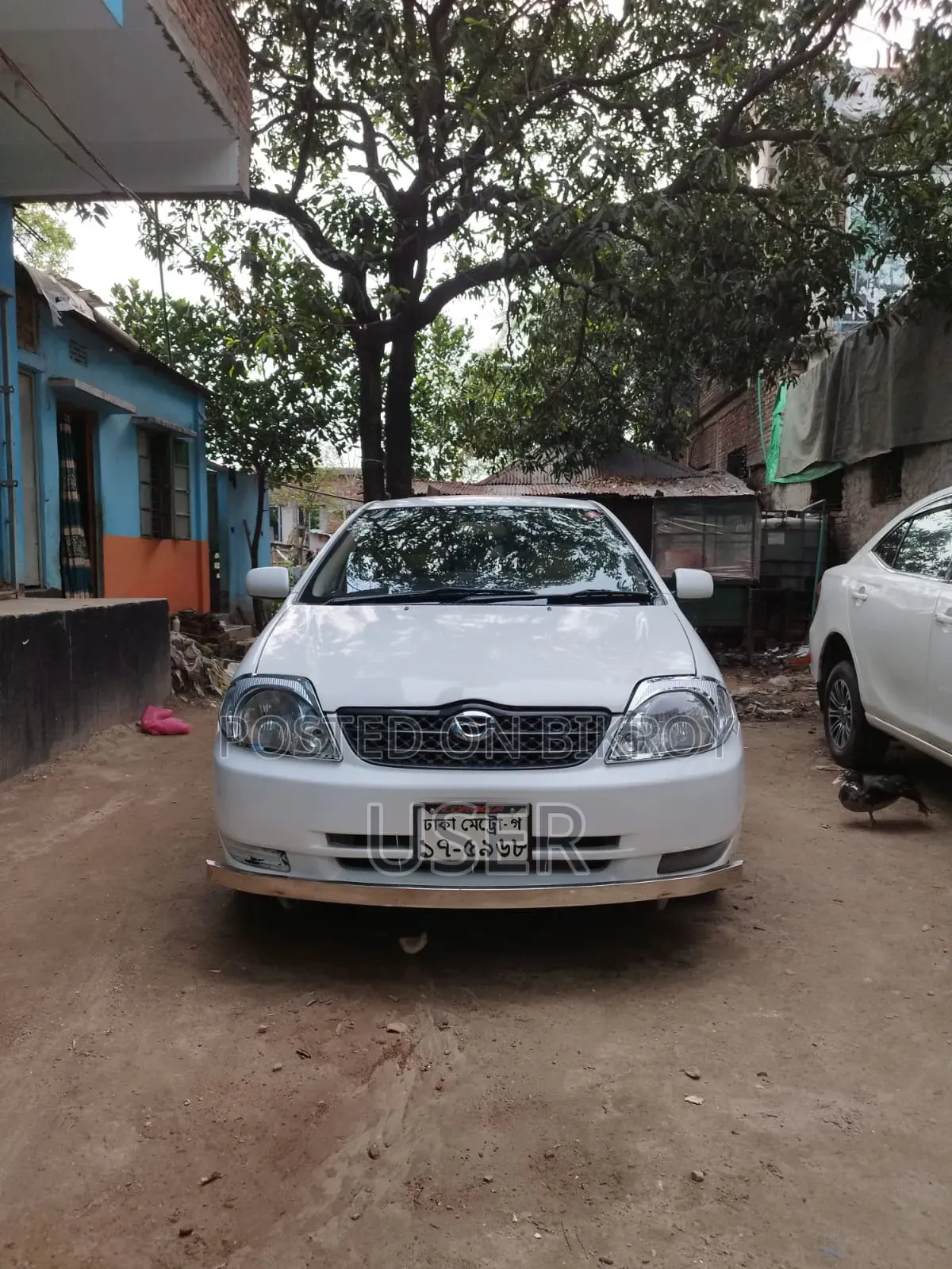 Toyota Corolla 2000 White