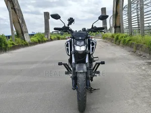Yamaha FZS V3 2024 Gray