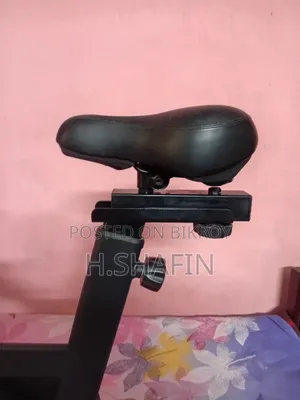 Lucky Star Indoor Stationary Spinning Bike