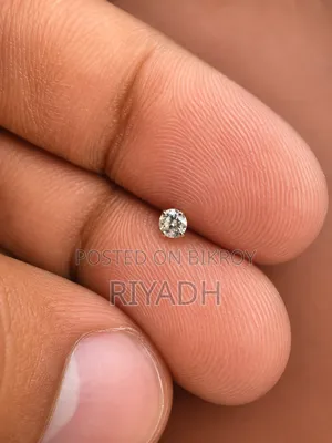 নাকের নোজ পিন