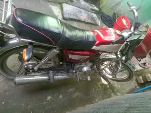 ডায়াং ডিওয়াই ১০০-এ ২০১৭ রেড
