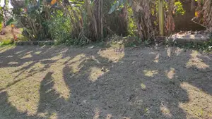 জমি বিক্রয় ৫ কাঠা