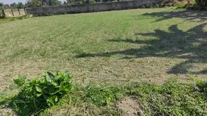 জমি বিক্রয় ৫ কাঠা