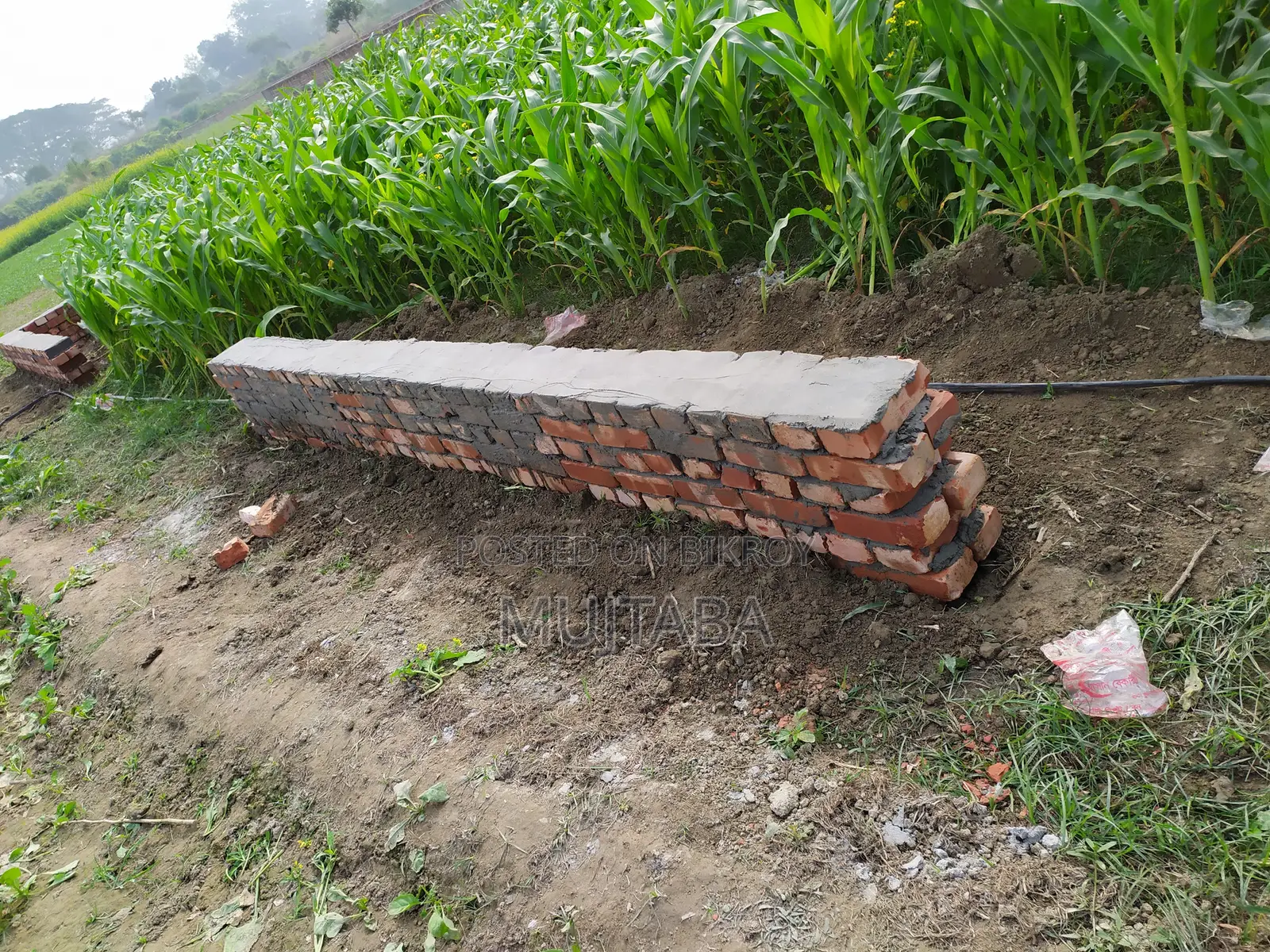 জমি বিক্রয় ৫ কাঠা