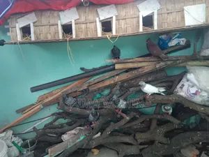 Pigeons With Coop 4 Pairs of Pigeons and Coop