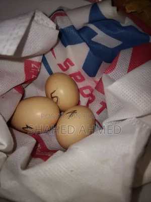 ফ্যান্সি মুরগি ও ডিম বিক্রয়