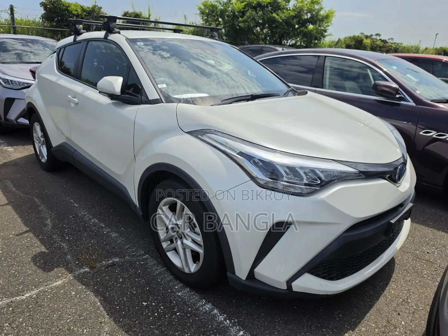 Toyota C-HR 2021 Pearl