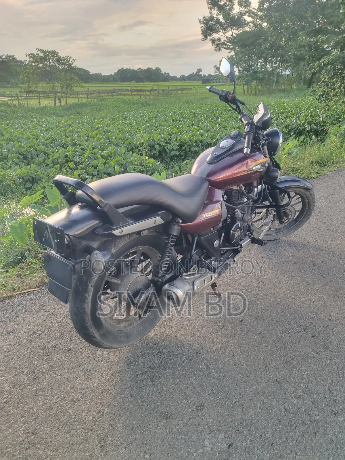 Bajaj Avenger 150 Street 2017 Brown