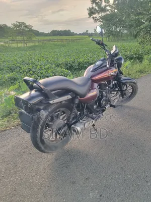 Bajaj Avenger 150 Street 2017 Brown