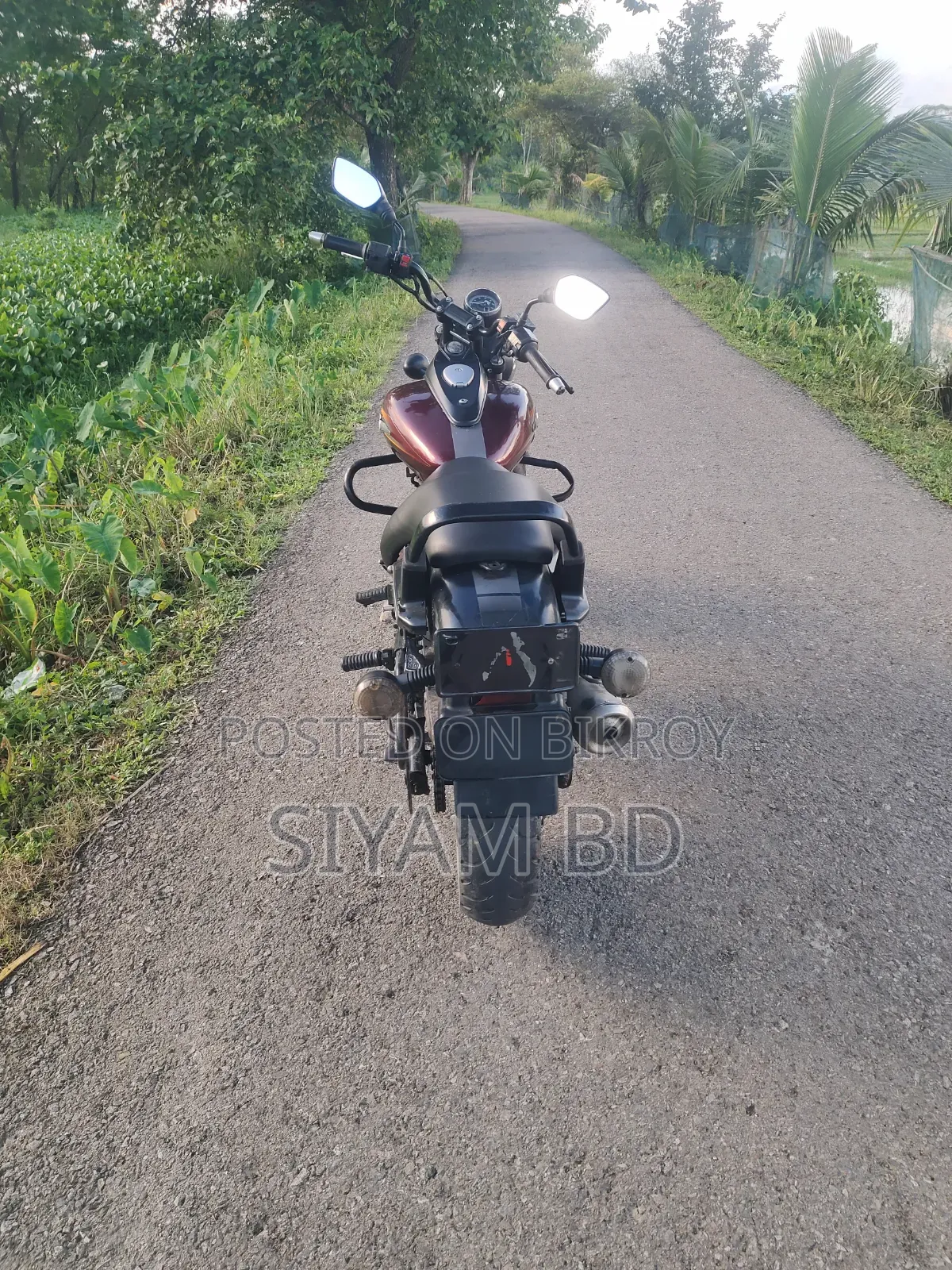 Bajaj Avenger 150 Street 2017 Brown