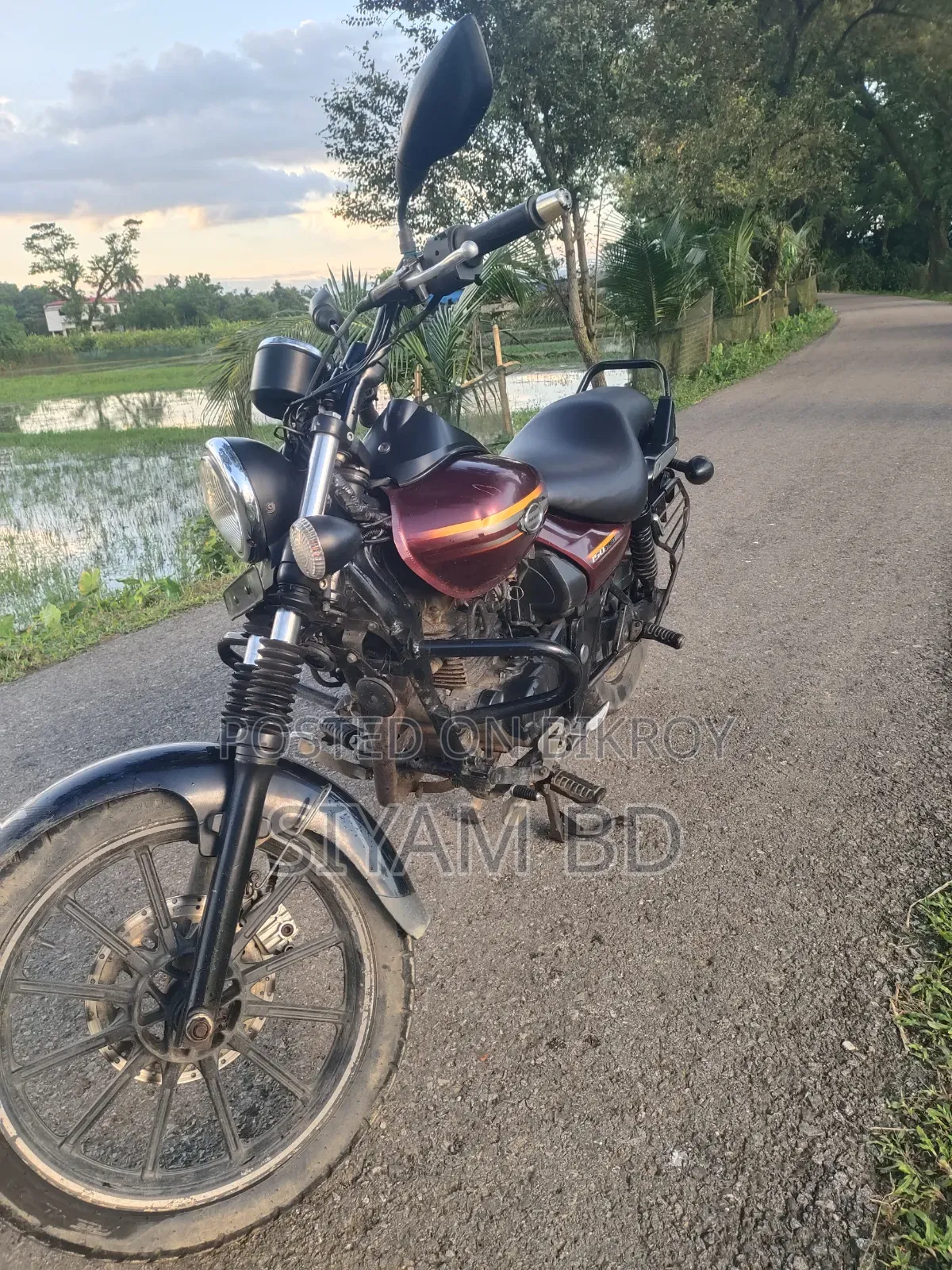 Bajaj Avenger 150 Street 2017 Brown