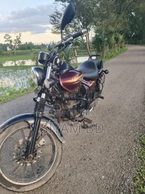 Bajaj Avenger 150 Street 2017 Brown