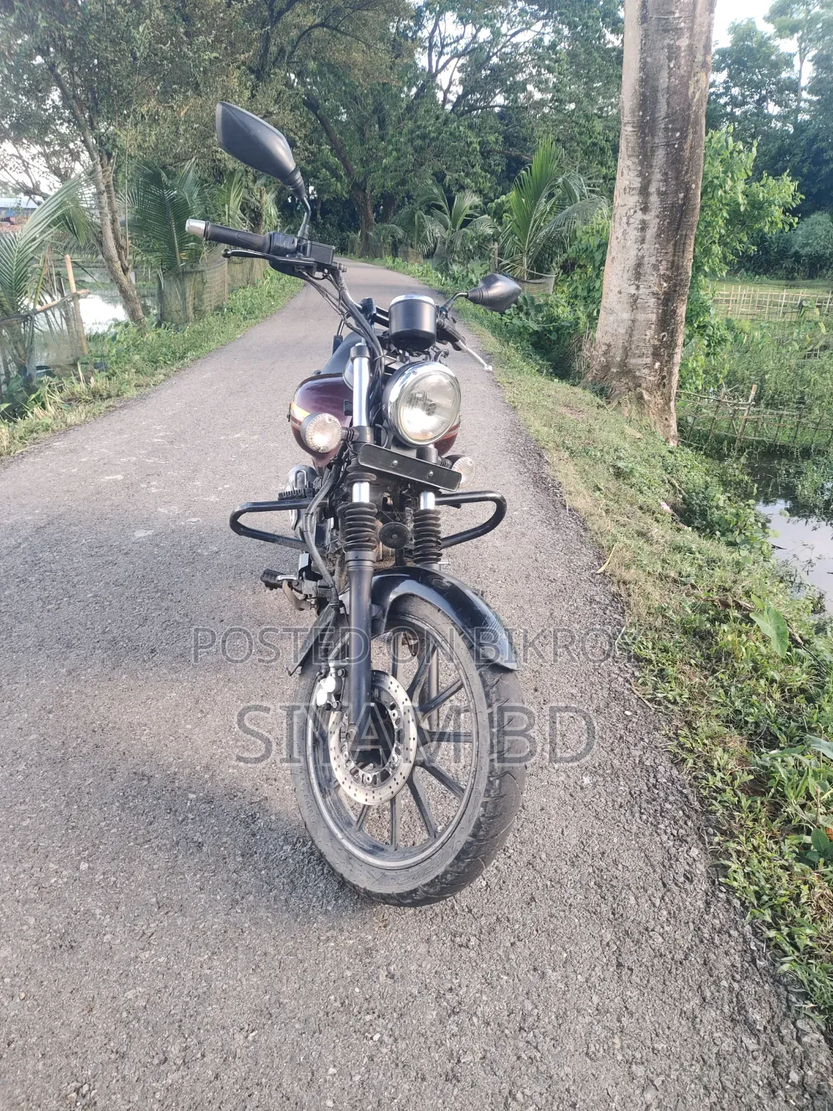 Bajaj Avenger 150 Street 2017 Brown
