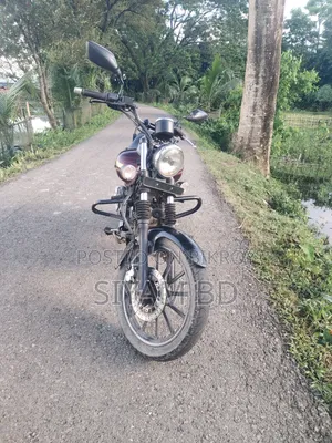 Bajaj Avenger 150 Street 2017 Brown