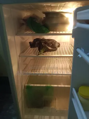 Refrigerator for Sale